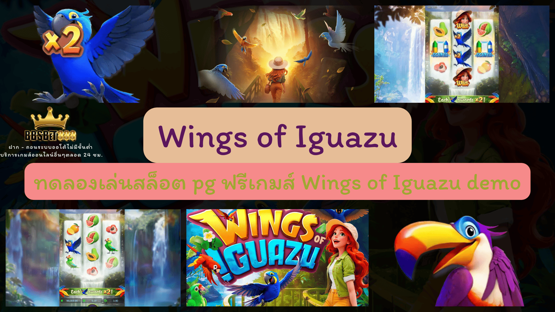 Wings of Iguazu