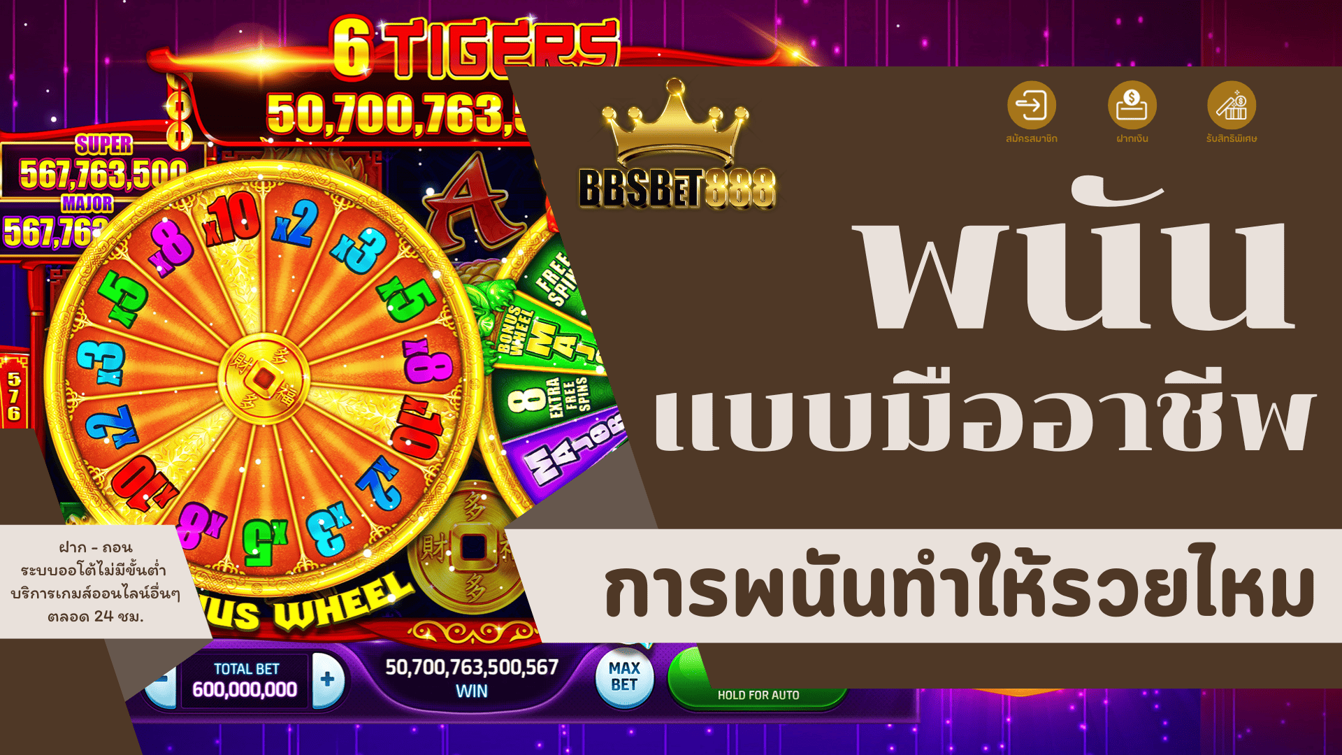 พนันแบบมืออาชีพ การพนันทำให้รวย